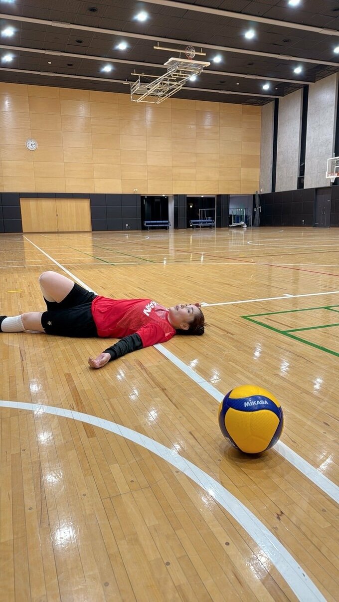 バレーボールとノラさん