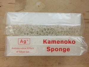 カメノコスポンジ