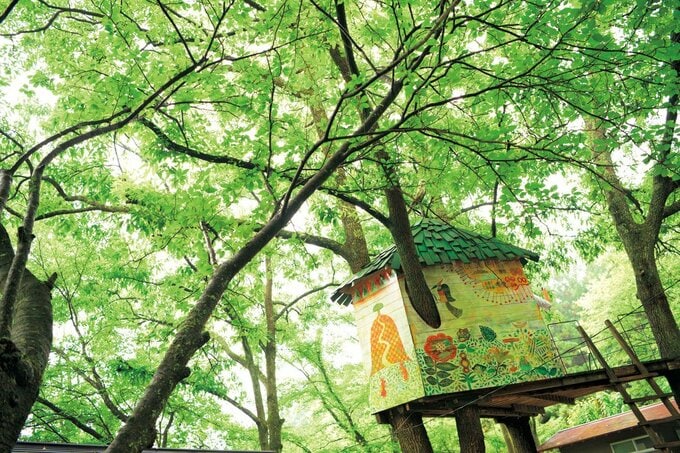 ツリーハウス