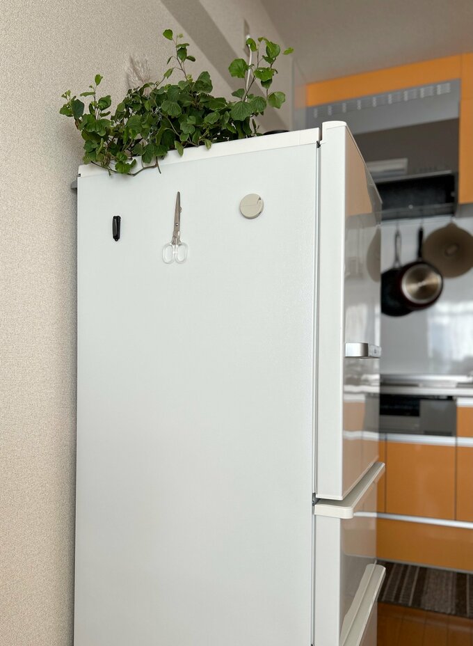 宮入さんのマグネット収納