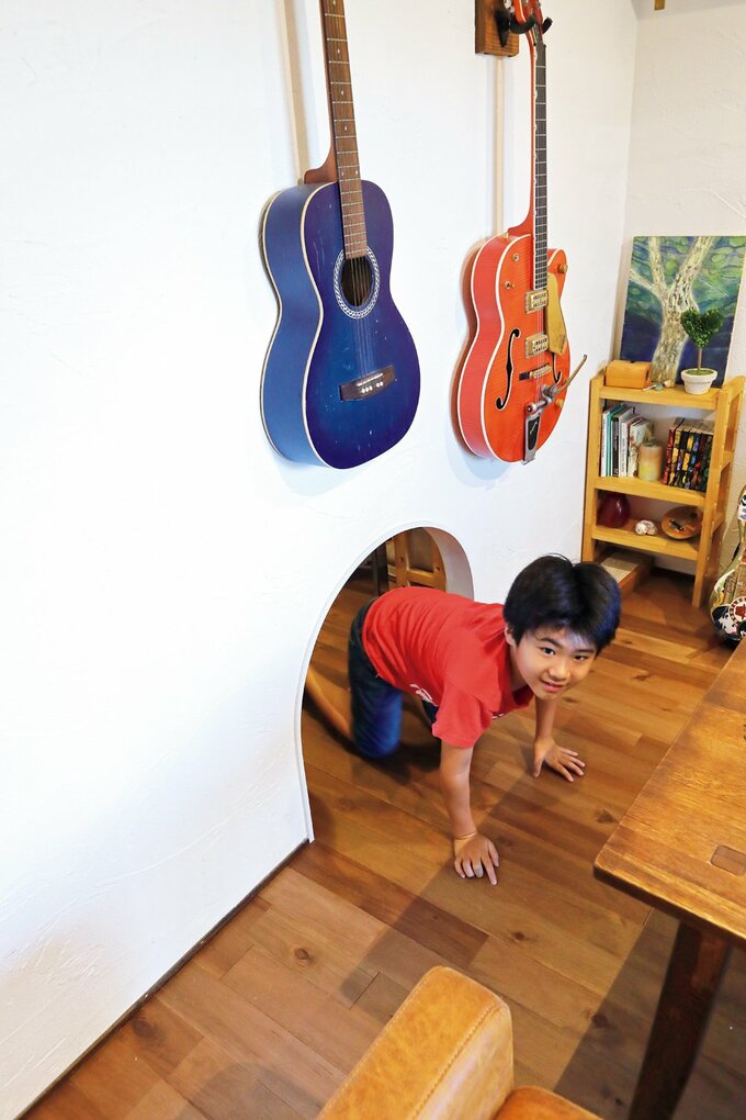 遊び心のあるアール型のネコ用の出入り口