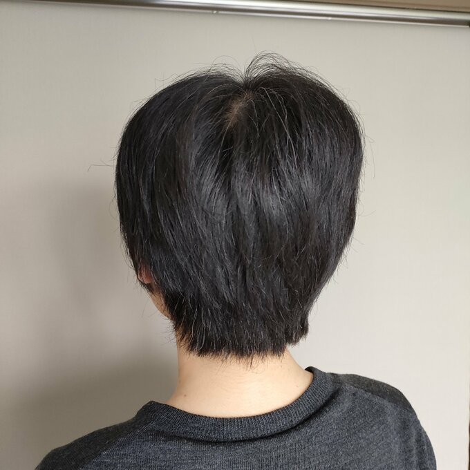 後ろから見たところ