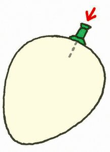 ゆで卵をつるりと簡単きれいにむくには