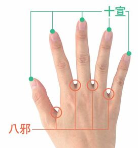 ツボもみとニンジンで免疫力アップ！風邪に負けない体づくり　