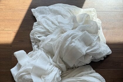 モデル・AYUMIのあゆんこの巣