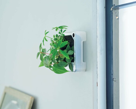 壁かけタイプのグリーン