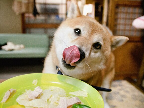 お肉をぺろりとたいらげて、続きましてケーキのご準備ができております