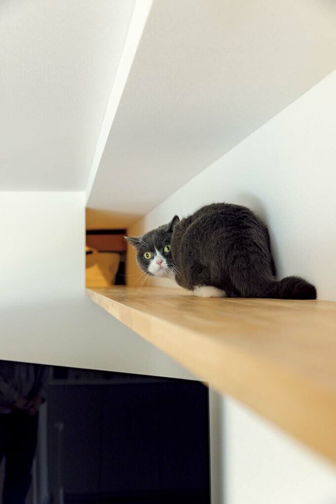 キャットウォークをほふく前進