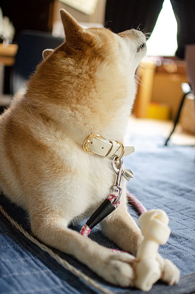 母と妹からも大正解と褒められた