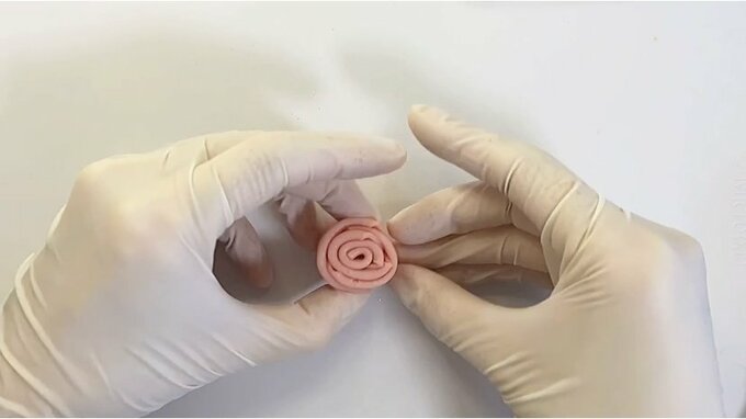 上から薔薇ハム