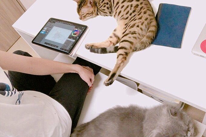 机にタブレットとネコ