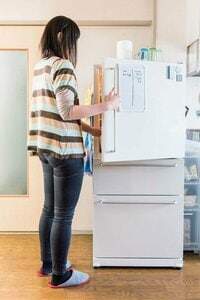 冷蔵庫は小さめにして全体を見渡せるように。買いすぎストップにも