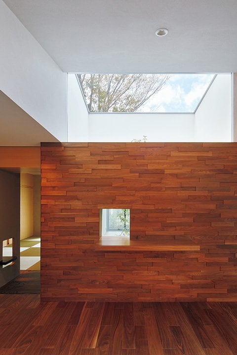 視線を上げると緑と空が見えて開放的な玄関