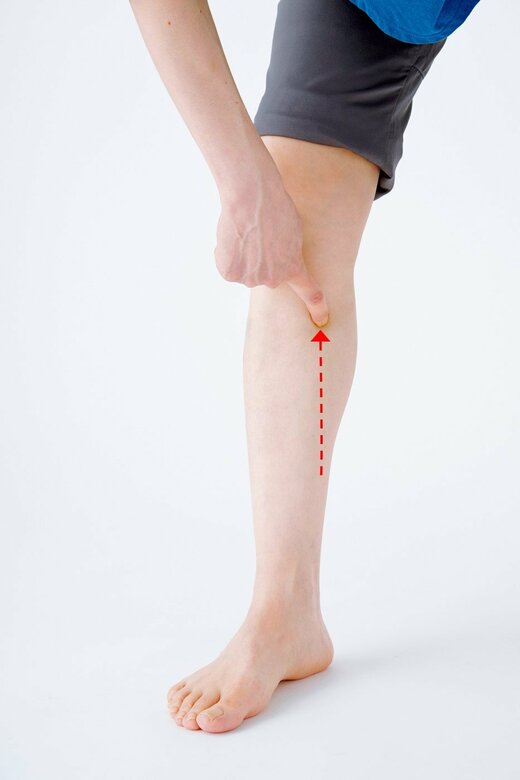 ひざ下の骨の内側を下から上に指でたどる人