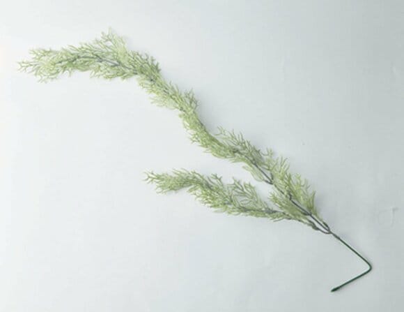 スパニッシュモス