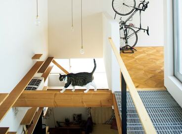 【注文住宅事例】キャットウォークを張り巡らせた、猫が家じゅうをグルグルできる家