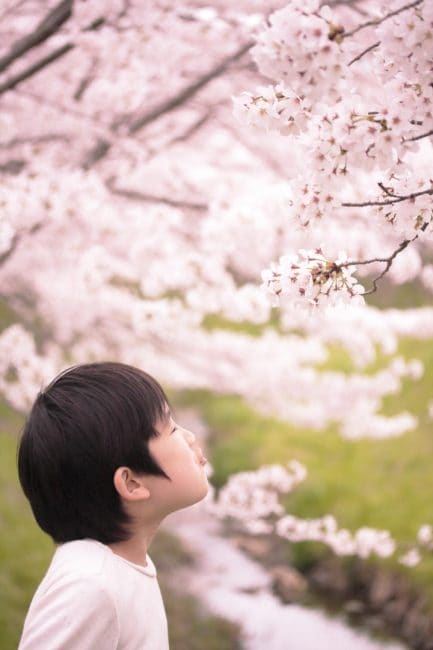 「背景」に桜を入れることを意識して