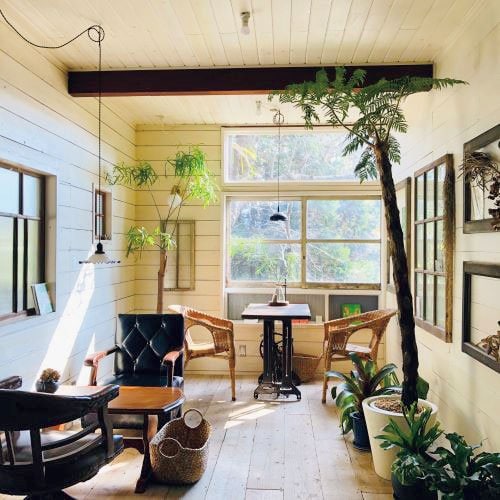 植物と椅子のある部屋