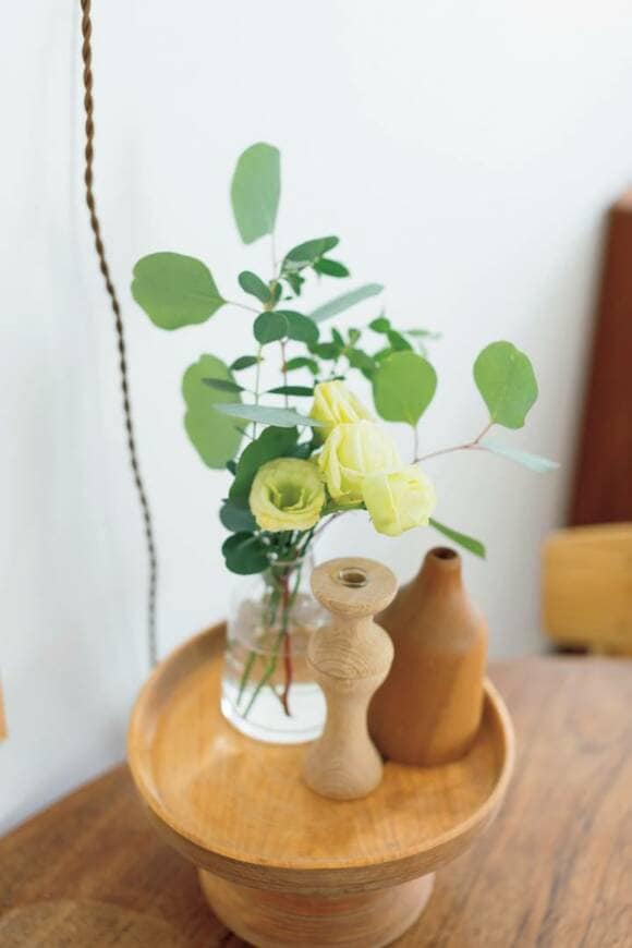 花瓶に観葉植物