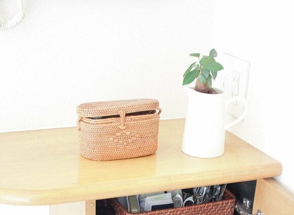 まずはインテリアとして楽しみましょう