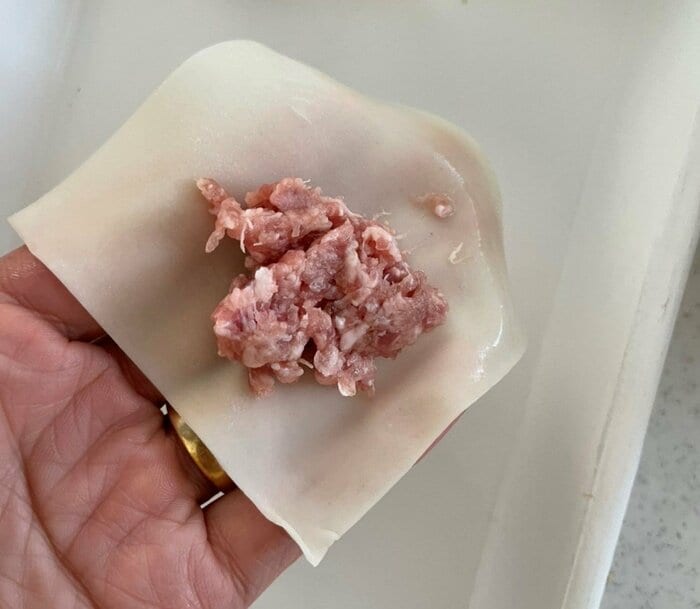 ワンタンの皮と豚ひき肉でつくる簡単レシピ。スパイシーで止まらぬ