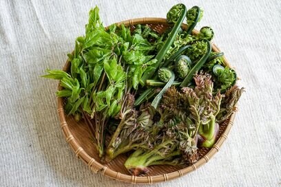 「春野菜」の選び方とおいしい食べ方。菜の花やタケノコ、山菜を味わうコツとは