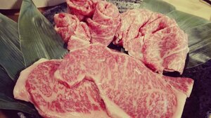 ふるさと納税カフェ