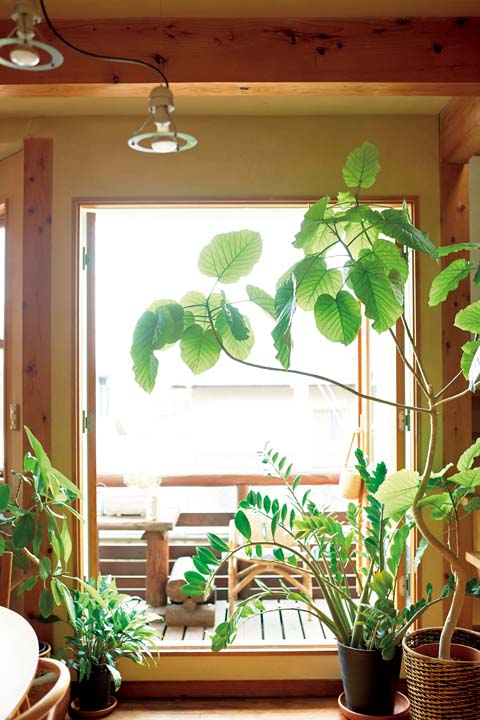 リビング横のバルコニー