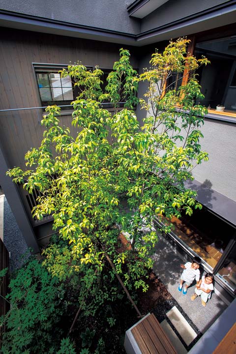 中庭家のつながり