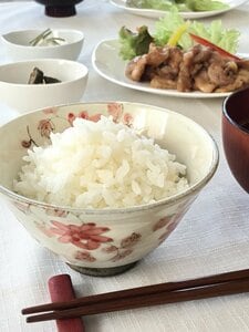 炊き立てのツヤツヤご飯
