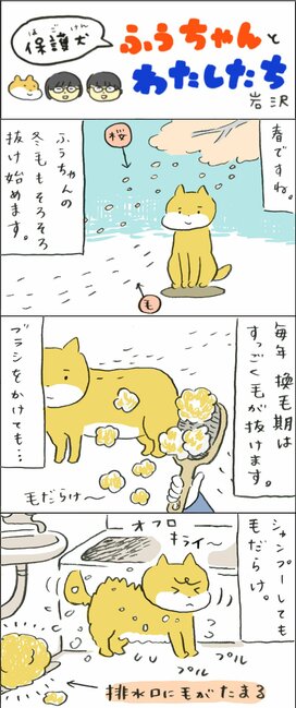 【保護犬マンガ】ポカポカ陽気でごっそり抜けた毛、なにかに使える？