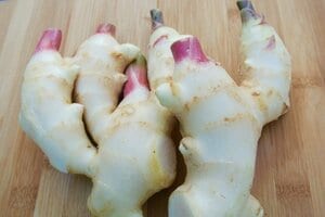 食材にあった冷凍&解凍方法【ショウガ・ニンニク・薬味】