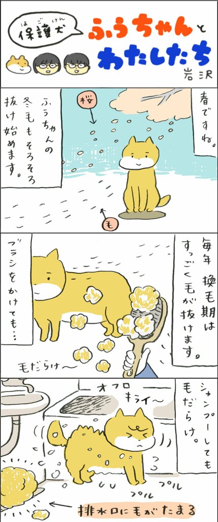 ポカポカ陽気でごっそり抜けた毛