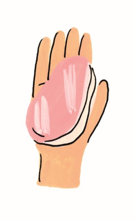 手のひら大の肉は約100ｇ。１食分の目安量のタンパク質が含まれます