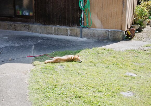 ジャンプして年を越した