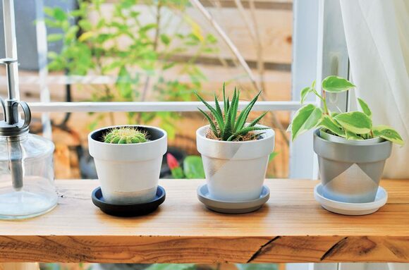 ペイントしたポット