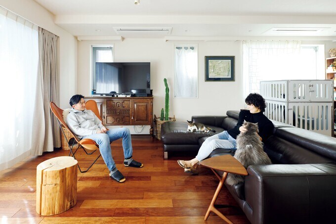 夫妻とソファにネコ2匹