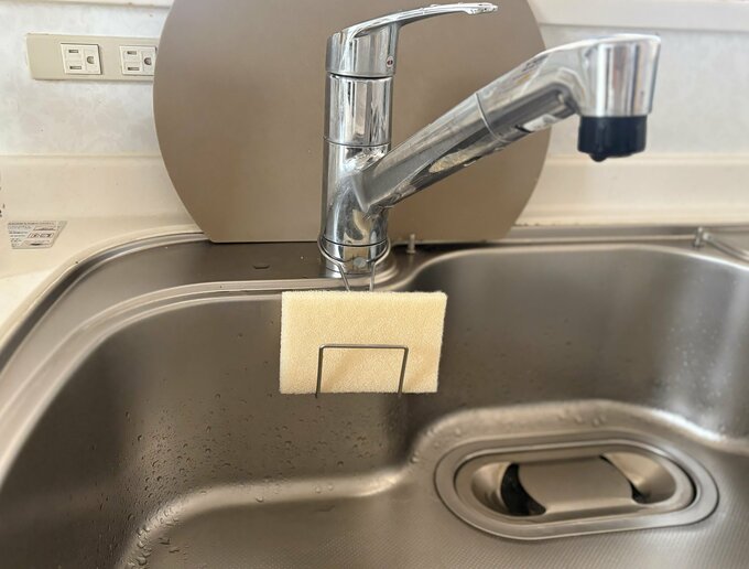 変色したスポンジ