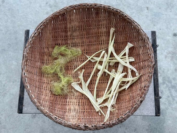 トウモロコシ ヒゲ