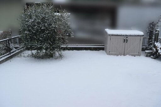 庭の空いてるスペース