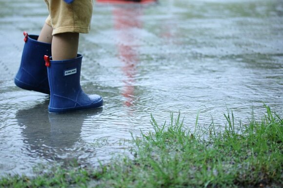 同じ足元写真でも、こちらは水たまりの中をそっと歩いているところ