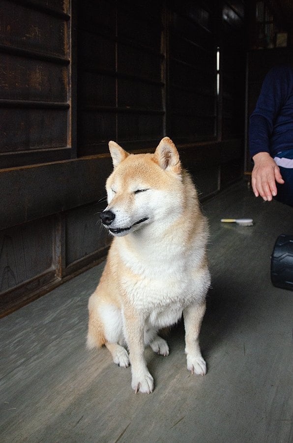 山が深い場所へと車を走らせた