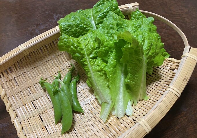 レタスとスナップエンドウ