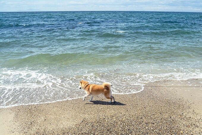 母と父が見守っていた