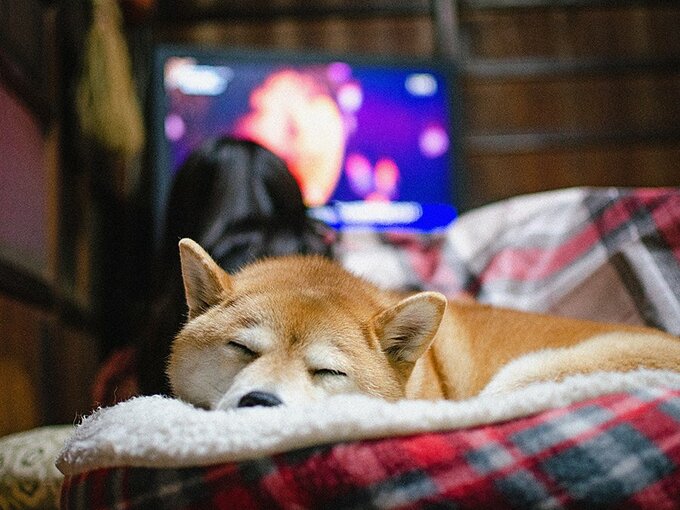 起こしてしまった