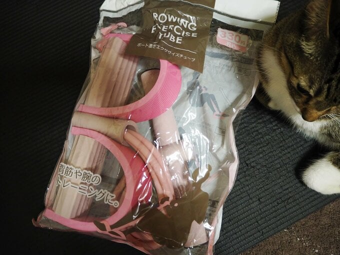 ダイソーグッズ