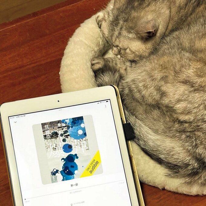 オーディオブックを開いたタブレットと猫
