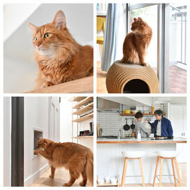 猫3匹と夫妻が快適に暮らす！約50平米の住まい