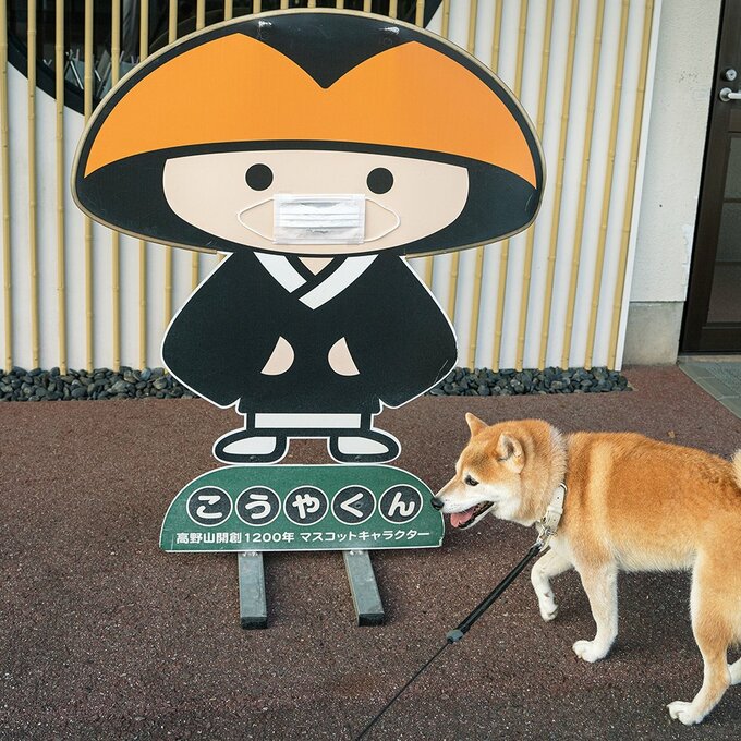 こうやくんと犬