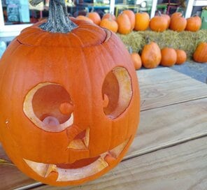 ハロウィーンを楽しもう！「ジャックオーランタン」づくりに挑戦